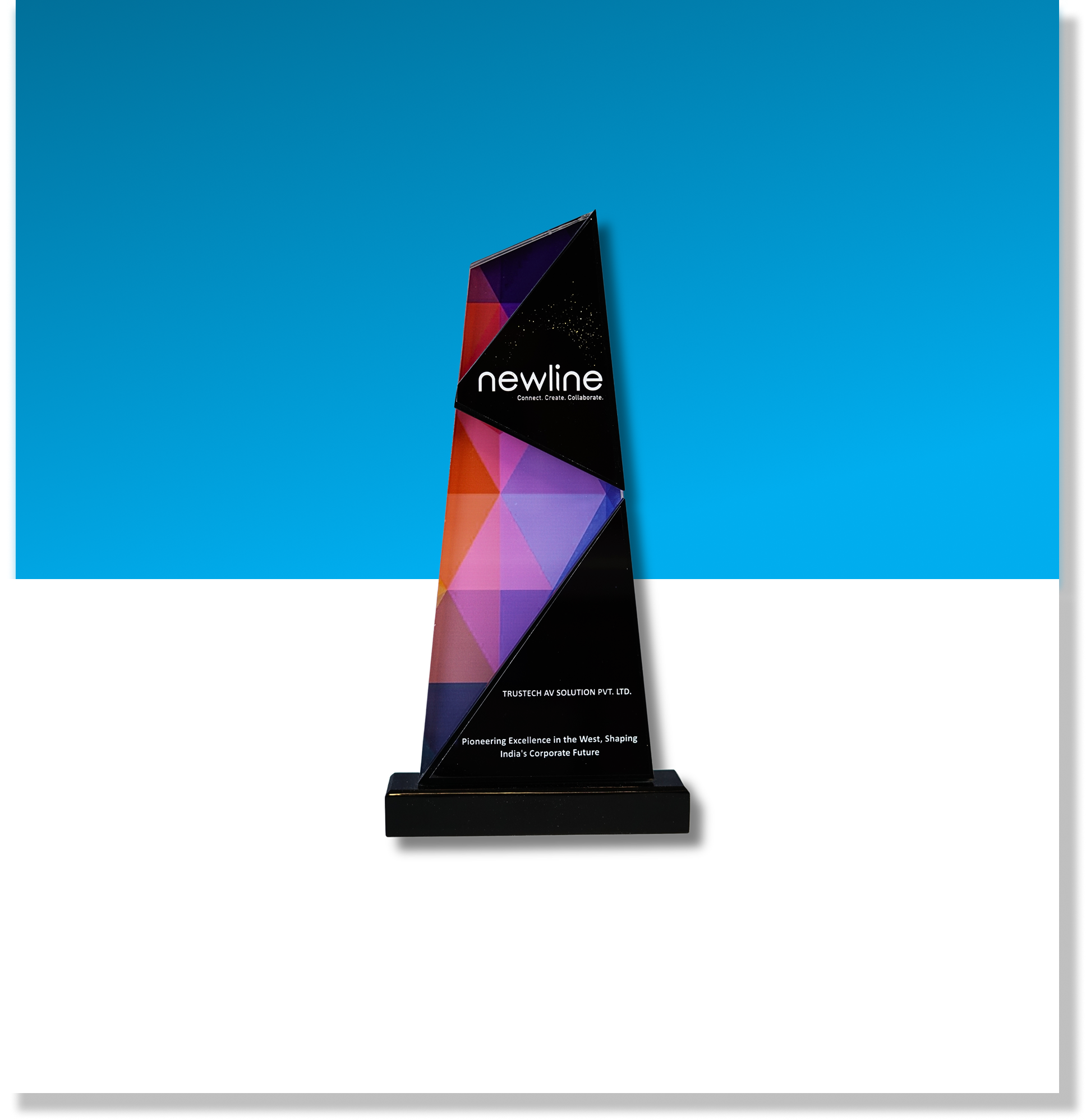 Excellence award in the AV sector(West), Newline