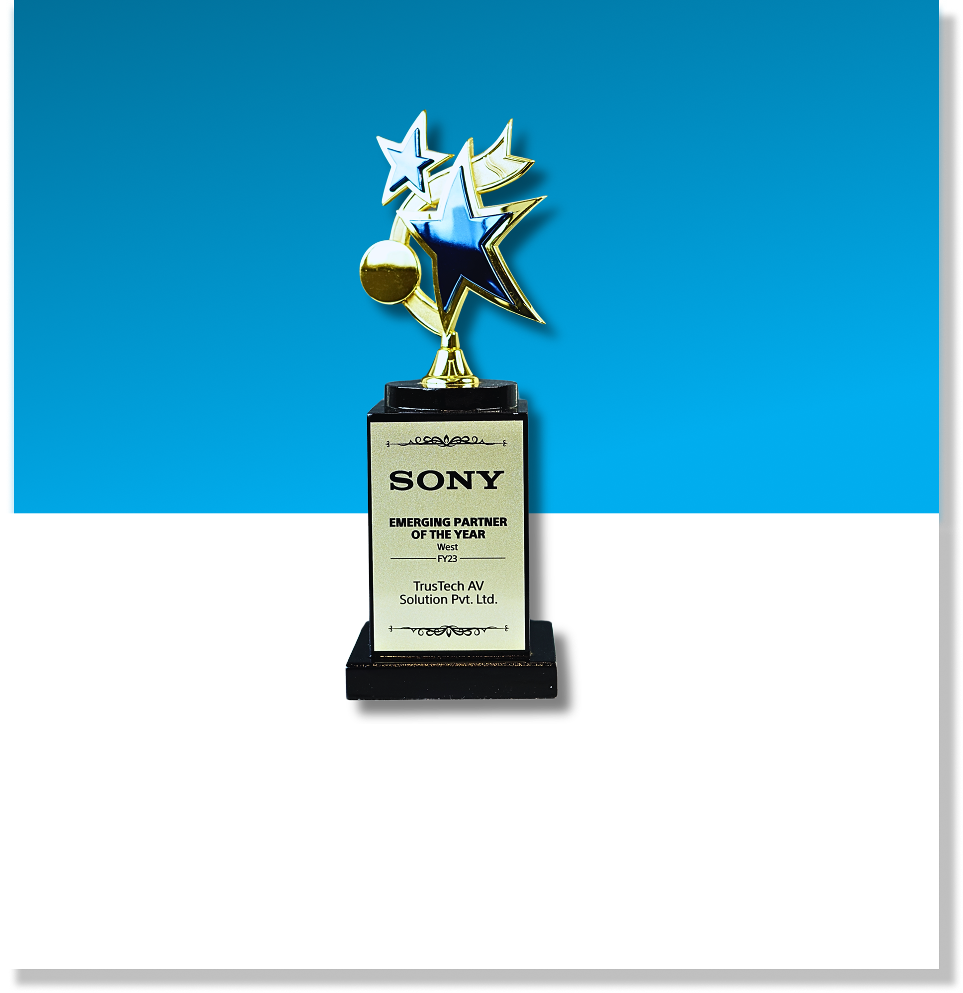 Sony, Emerging Partner (West)